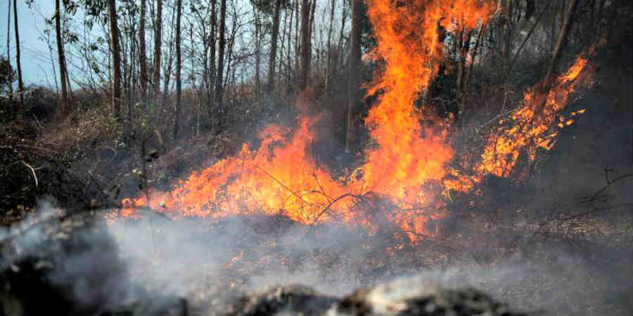 KYΠΡΟΣ: Σε εξέλιξη δασική πυρκαγιά στον Λουβαρά - Επιχειρούν επίγειες και εναέριες δυνάμεις